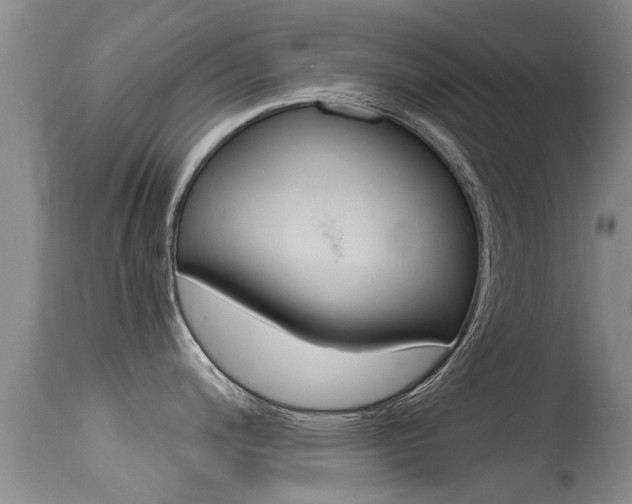 X0000115481200200911061018