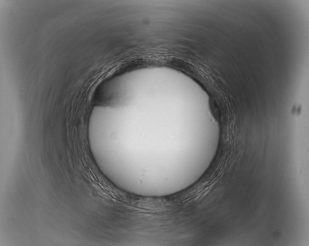 X0000115481201200911061017