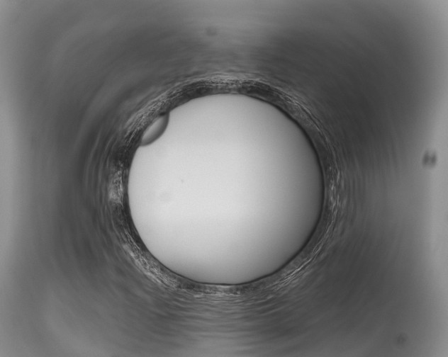 X0000115481204200911061017