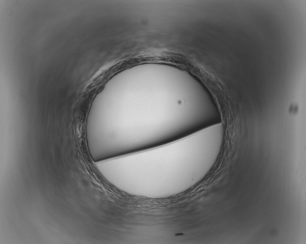 X0000115481206200911061017