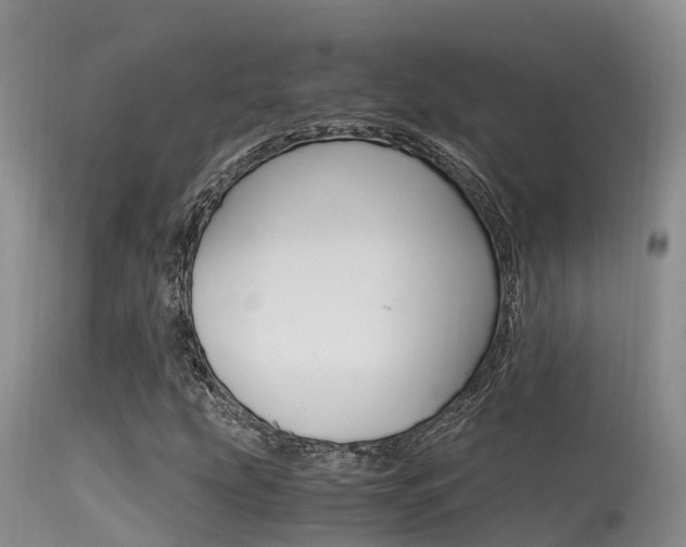 X0000115481207200911061017