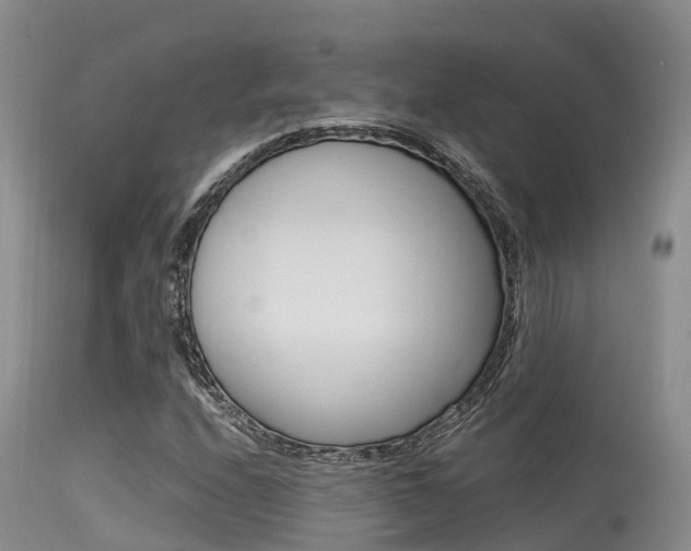 X0000115481208200911061017