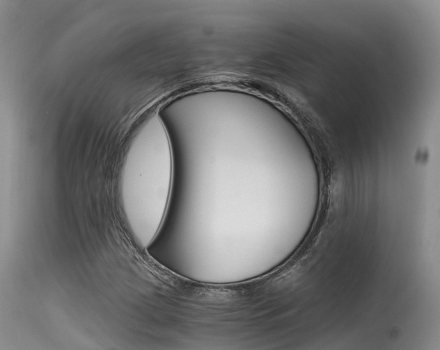 X0000115481209200911061017