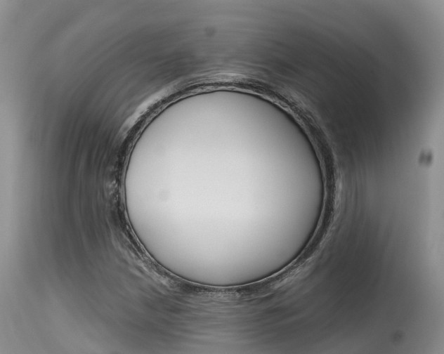 X0000115481210200911061017