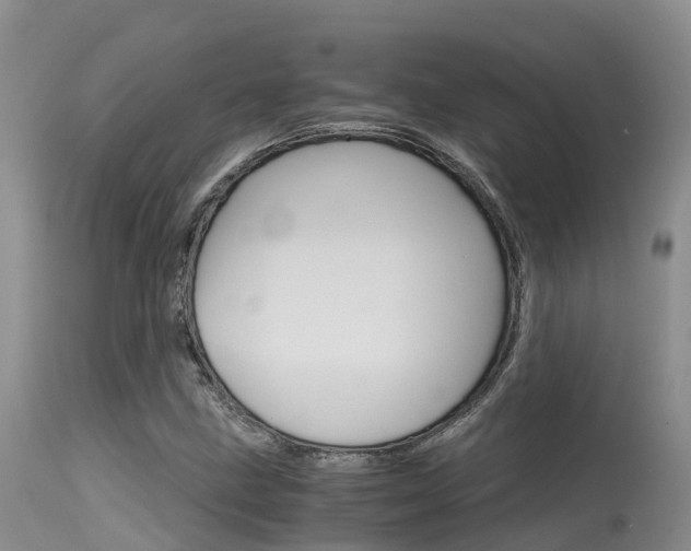 X0000115481211200911061017