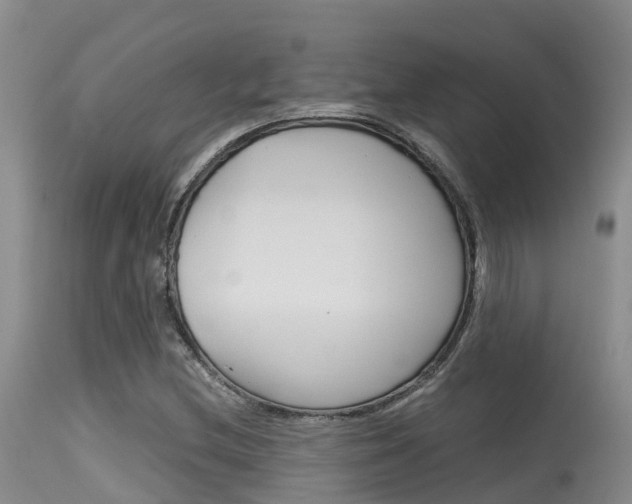X0000115481212200911061017