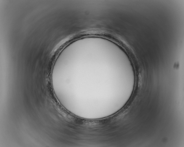 X0000115481213200911061017