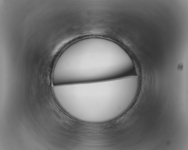 X0000115481214200911061017