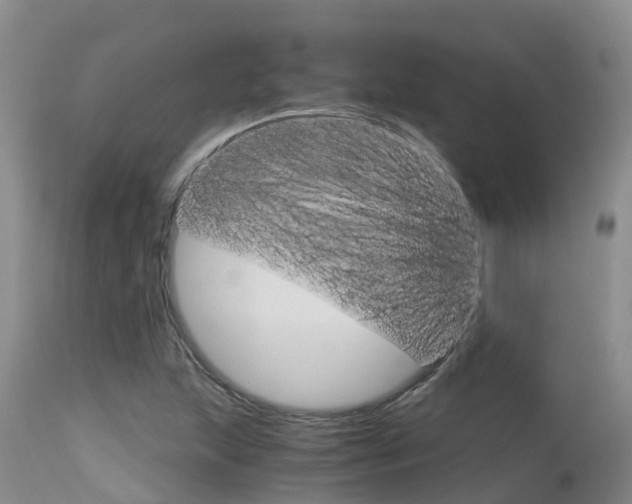 X0000115481215200911061017