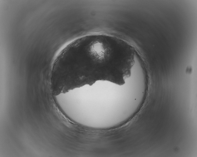 X0000115481216200911061017