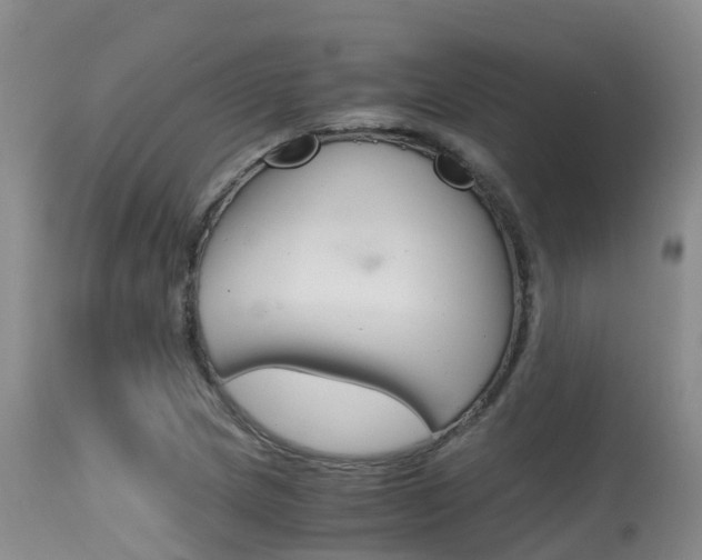 X0000115481217200911061017