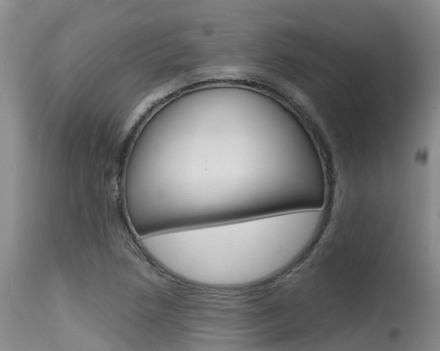 X0000115481218200911061017