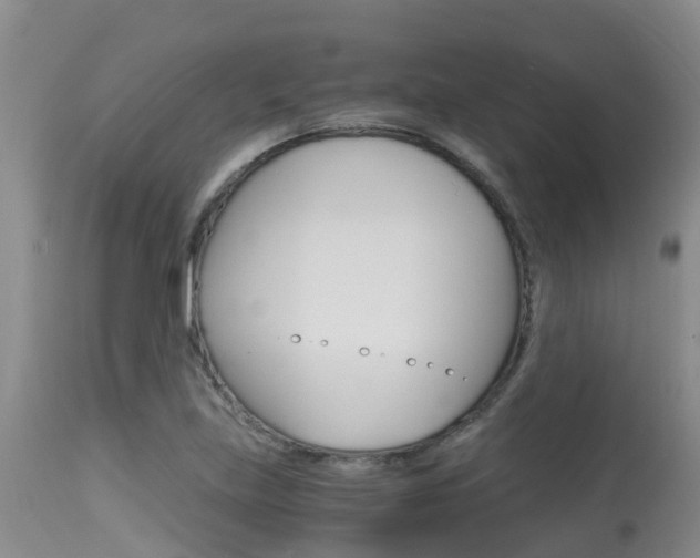 X0000115481219200911061017