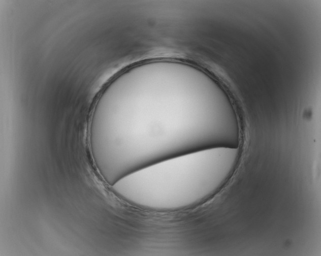 X0000115481220200911061017