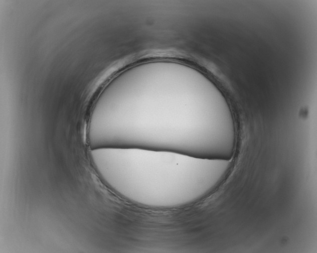 X0000115481221200911061017