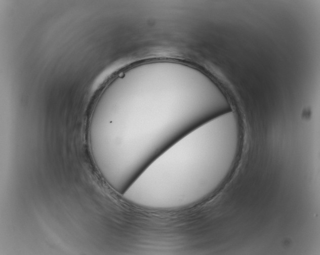 X0000115481222200911061017