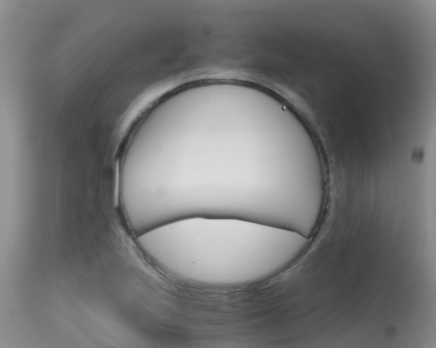 X0000115481223200911061017