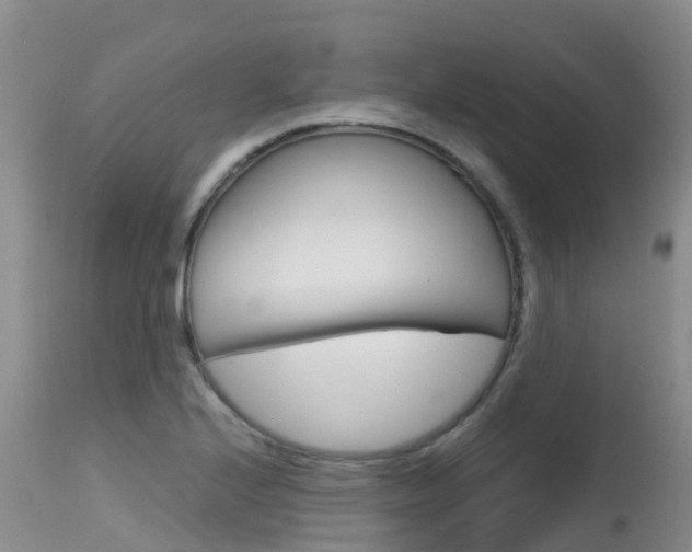 X0000115481224200911061017
