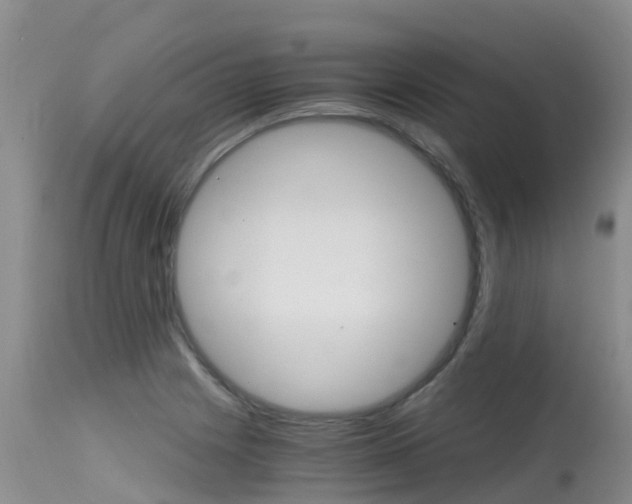 X0000115481225200911061017