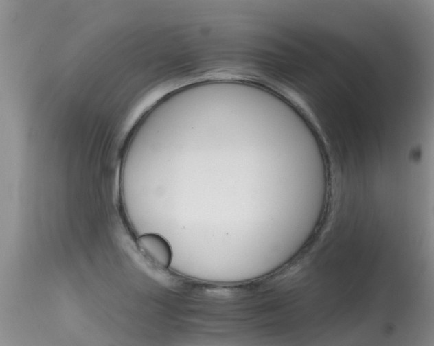 X0000115481227200911061017