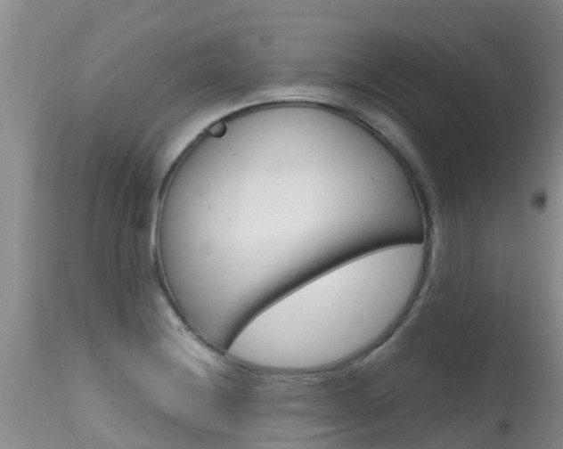 X0000115481228200911061017