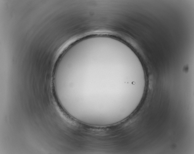 X0000115481229200911061017
