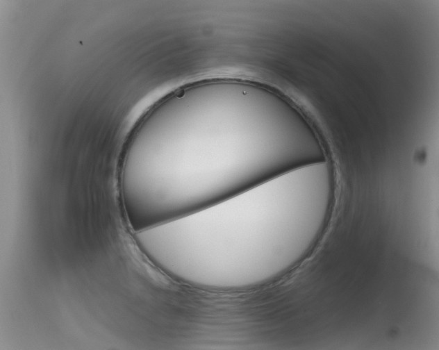 X0000115481230200911061017