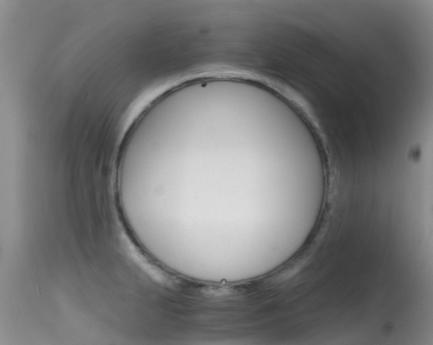X0000115481231200911061017