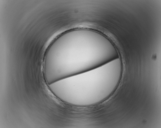 X0000115481232200911061017