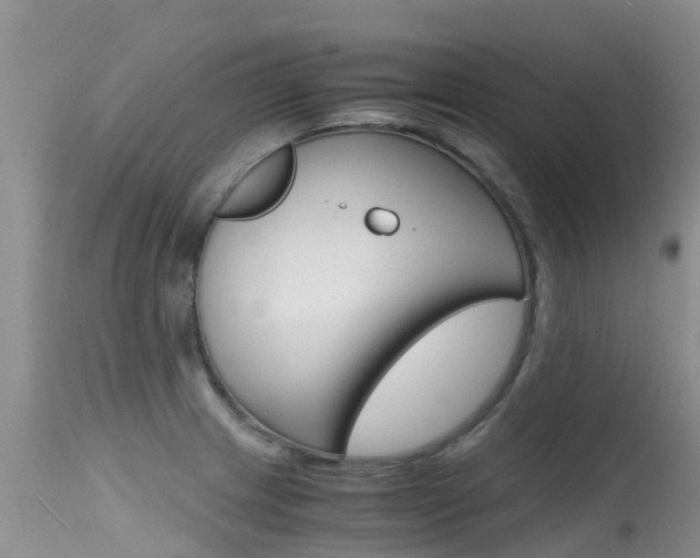 X0000115481233200911061017