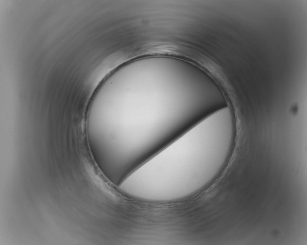 X0000115481234200911061017
