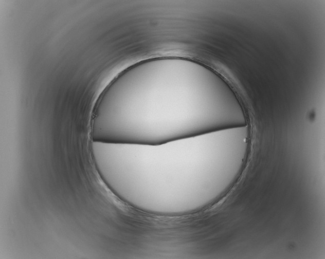 X0000115481236200911061017