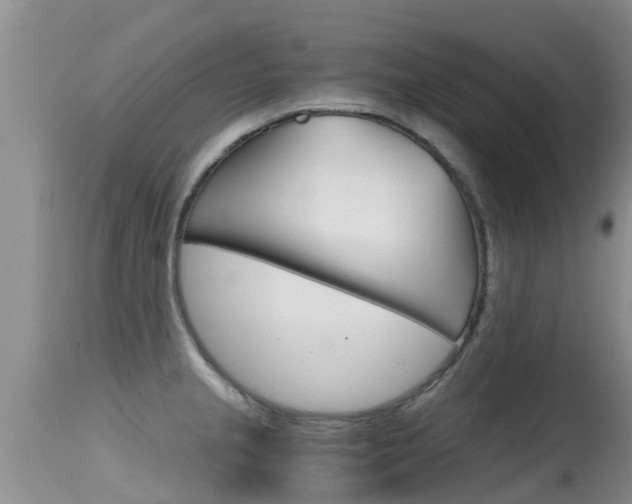 X0000115481237200911061017