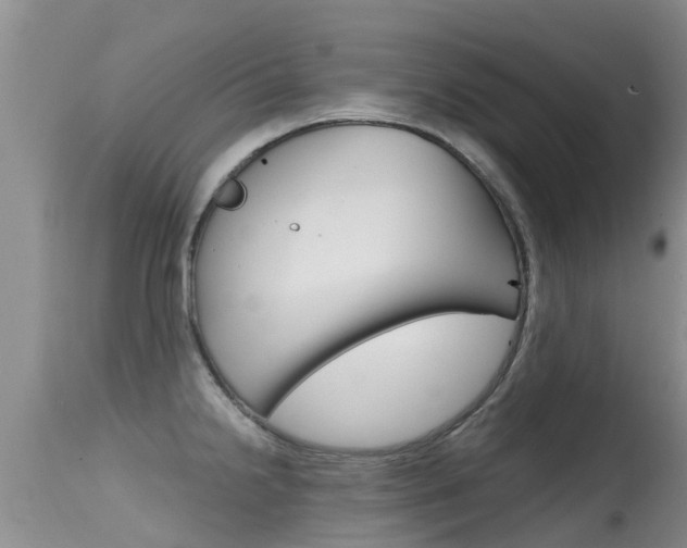 X0000115481238200911061017
