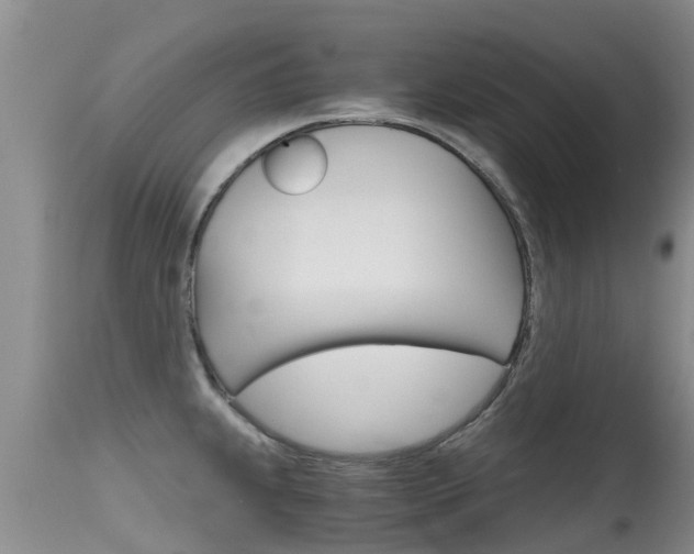 X0000115481239200911061017