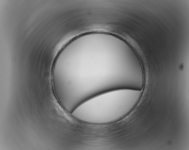 X0000115481240200911061017