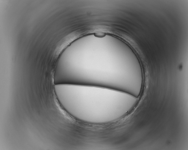X0000115481241200911061017