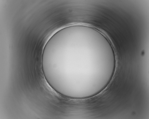 X0000115481244200911061018