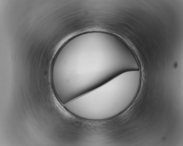 X0000115481246200911061018