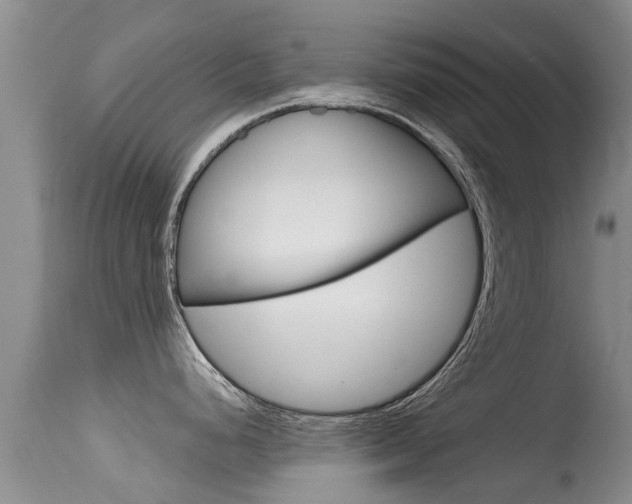 X0000115481248200911061018