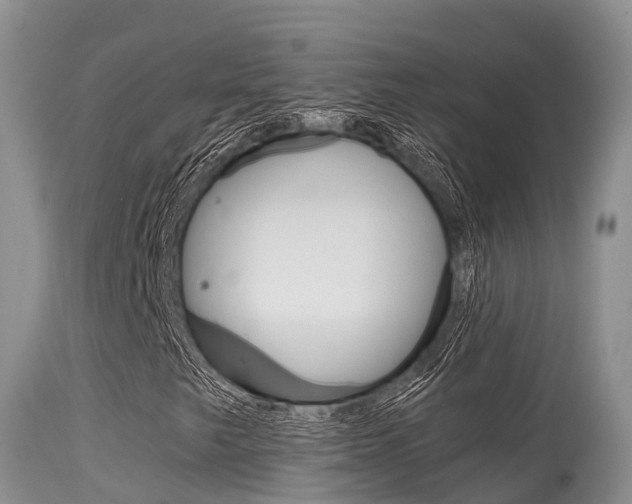X0000115481249200911061017