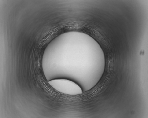 X0000115481250200911061017