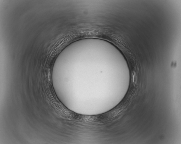 X0000115481251200911061017