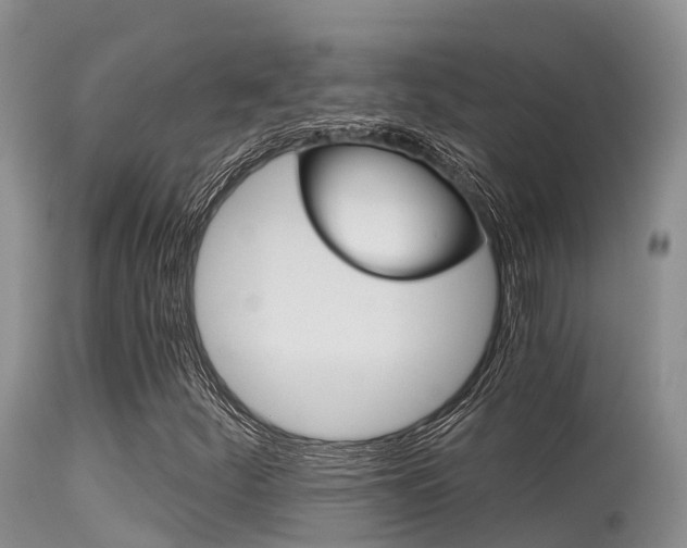 X0000115481252200911061017