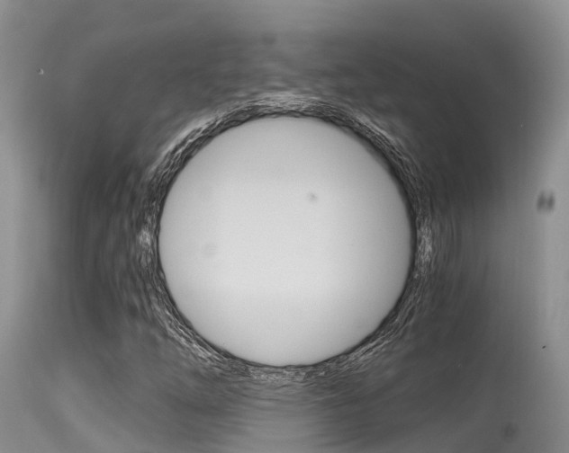 X0000115481254200911061017