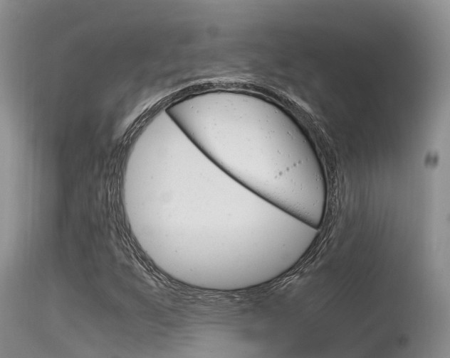 X0000115481255200911061017