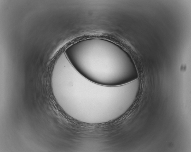 X0000115481256200911061017