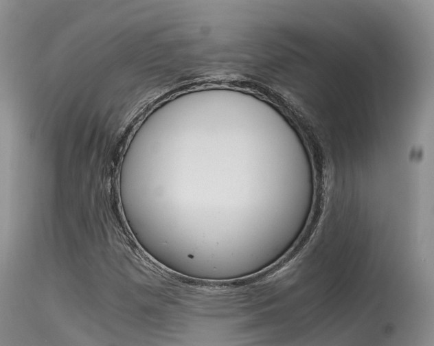 X0000115481257200911061017