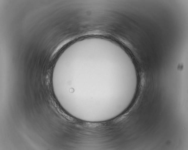 X0000115481258200911061017