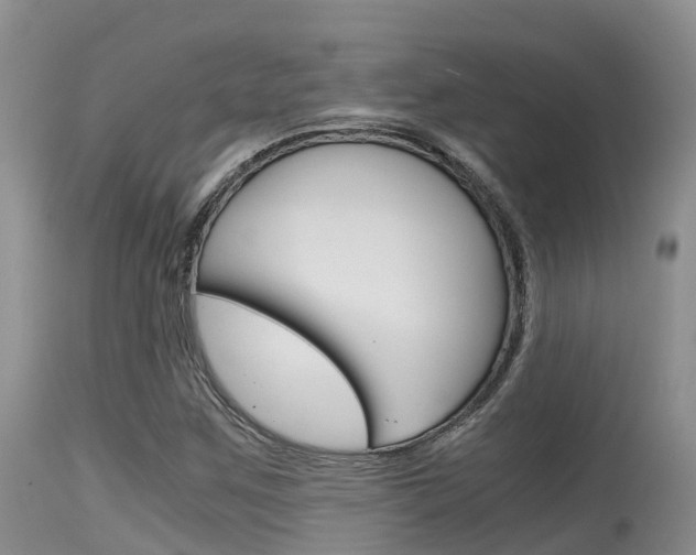X0000115481259200911061017